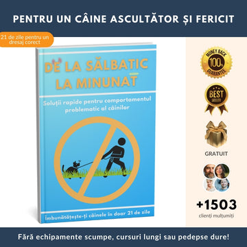 Cel mai bine vândut ghid pentru îmbunătățirea ascultării câinelui tău în doar 21 de zile + 4 BONUSURI GRATUITE