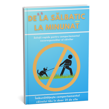 Ghid complet pentru noii proprietari de câini: creșteți un câine bine educat încă din prima zi.